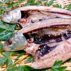 画像2: 真いわし塩開干　2枚入 (2)