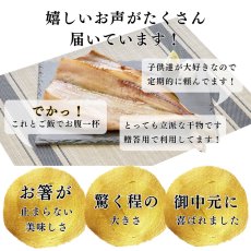 画像6: 縞ほっけ開干（大）1枚 (6)