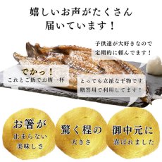 画像9: 当店人気No.1！さば塩糀開干（大）1枚 (9)