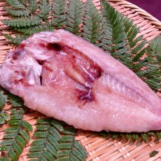 画像2: 甘鯛開干　1枚 (2)