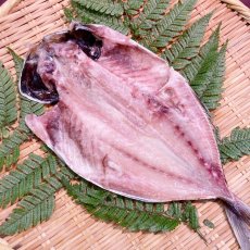 真あじ開干（大）1枚