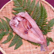 甘鯛開干　1枚