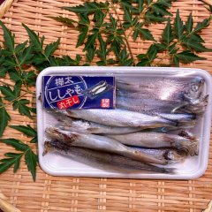 子持ちししゃも（10本）