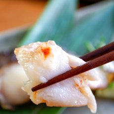 画像5: 銀だら熟成粕漬　2枚入 (5)