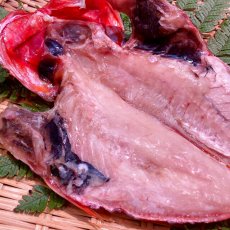 画像2: 金目鯛開干（大）1枚 (2)