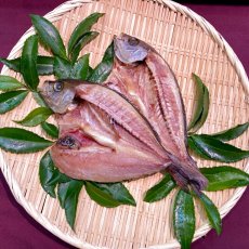 いさき開干　2枚