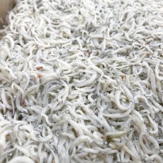 画像2: 駿河湾産・釜揚げしらす (2)