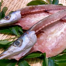 画像2: かます開干（大）2枚入 (2)