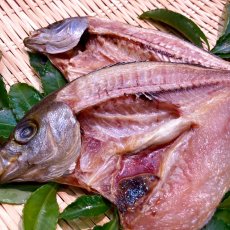 画像2: いさき開干　2枚 (2)