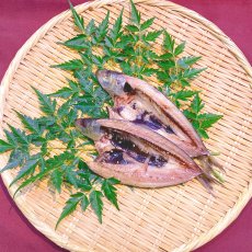 真いわし塩開干　2枚入