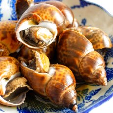 画像3: 海つぼ酒醤油煮（大） (3)