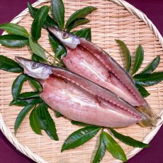 かます開干（大）2枚入