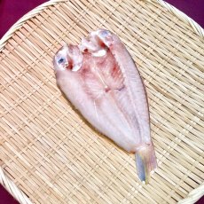 画像2: 【駿河湾・地物】甘鯛開干　1枚 (2)