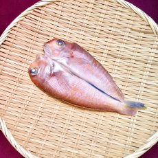 画像1: 【駿河湾・地物】甘鯛開干　1枚 (1)