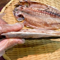 画像2: 【貴重✨】地物・むろあじ開干　2枚入 (2)