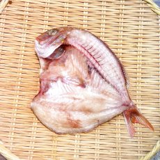 画像1: 【今が旬✨地物】花鯛開干  1枚 (1)