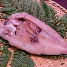 画像8: 【お中元・夏ギフト】老舗干物屋の贈り物セット　|　干物としらすの詰め合わせ (8)