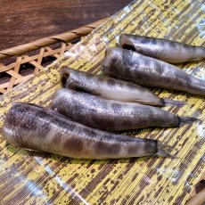 画像2: 【NEW！】【滅多に出回らない極上サイズ】メヒカリ干し(5本入り) (2)