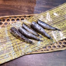 画像1: 【NEW！】【滅多に出回らない極上サイズ】メヒカリ干し(5本入り) (1)