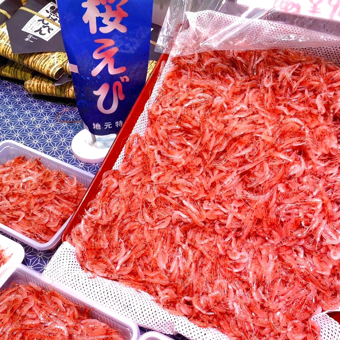 ＼＼生桜えび(2026.春漁)入荷しました／／